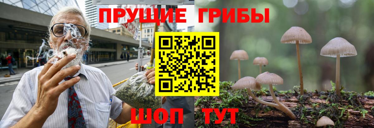 наркотики  Вход с VPN  Семилуки  Галлюциногенные грибы GOLDEN TEACHER 