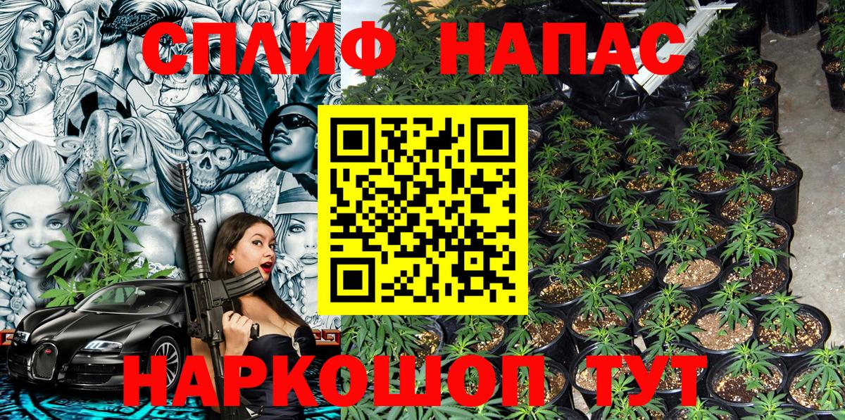 Каннабис SATIVA & INDICA  Марихуана OG Kush  Семилуки  Вход с VPN  МАРИХУАНА сатива 