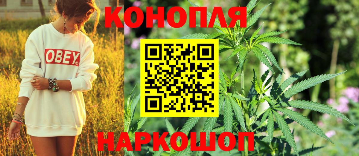 Каннабис SATIVA & INDICA Семилуки